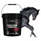 CREATINA DESTINADA PARA CAVALOS - BALDE CREATINA ANIMAL HORSE 1 KG - SEM SABOR - BLACKSKULL