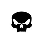 LOGO--BLACKSKULL--USA